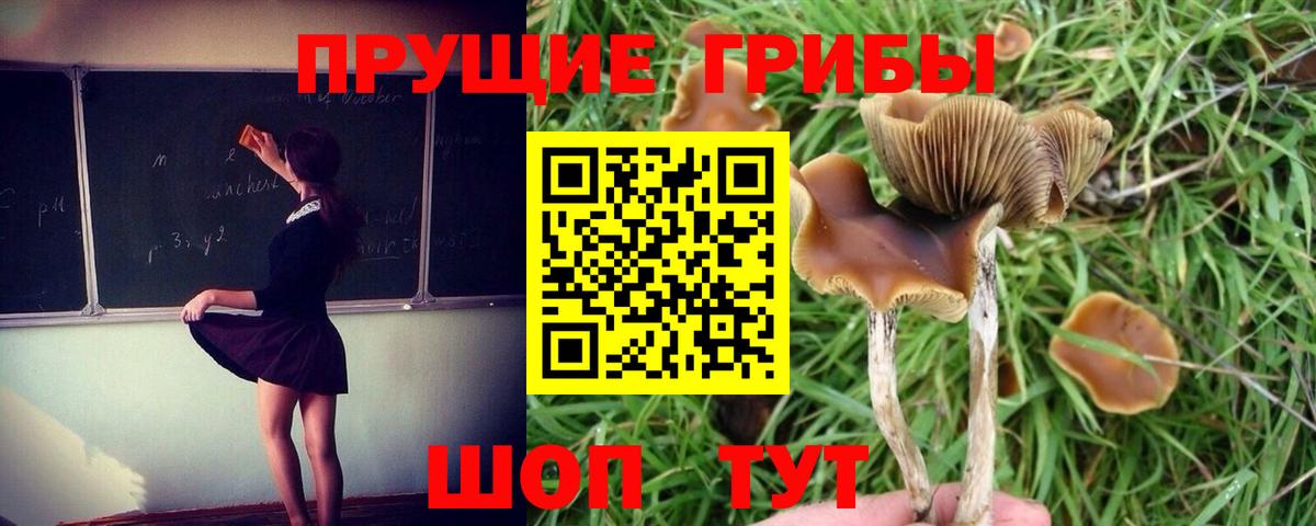 Галлюциногенные грибы прущие грибы  Вход с VPN  Донской  Псилоцибиновые грибы прущие грибы 