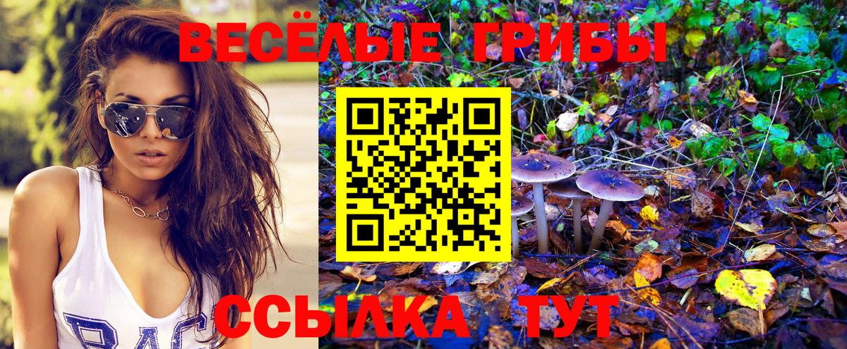 Псилоцибиновые грибы Cubensis Донской